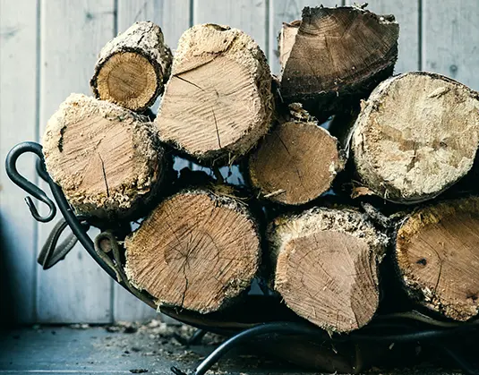 residential Chimney Services